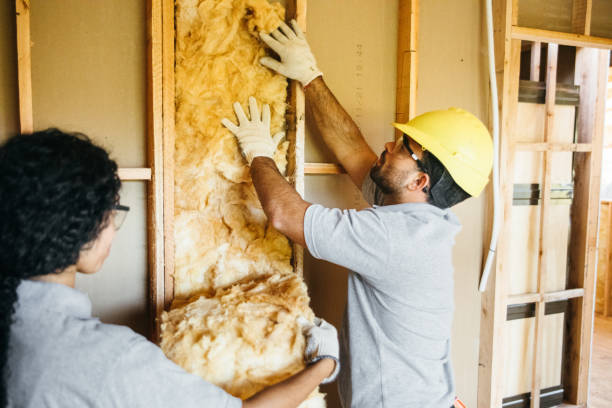 Best Blown-In Insulation  in Mayfield, OH